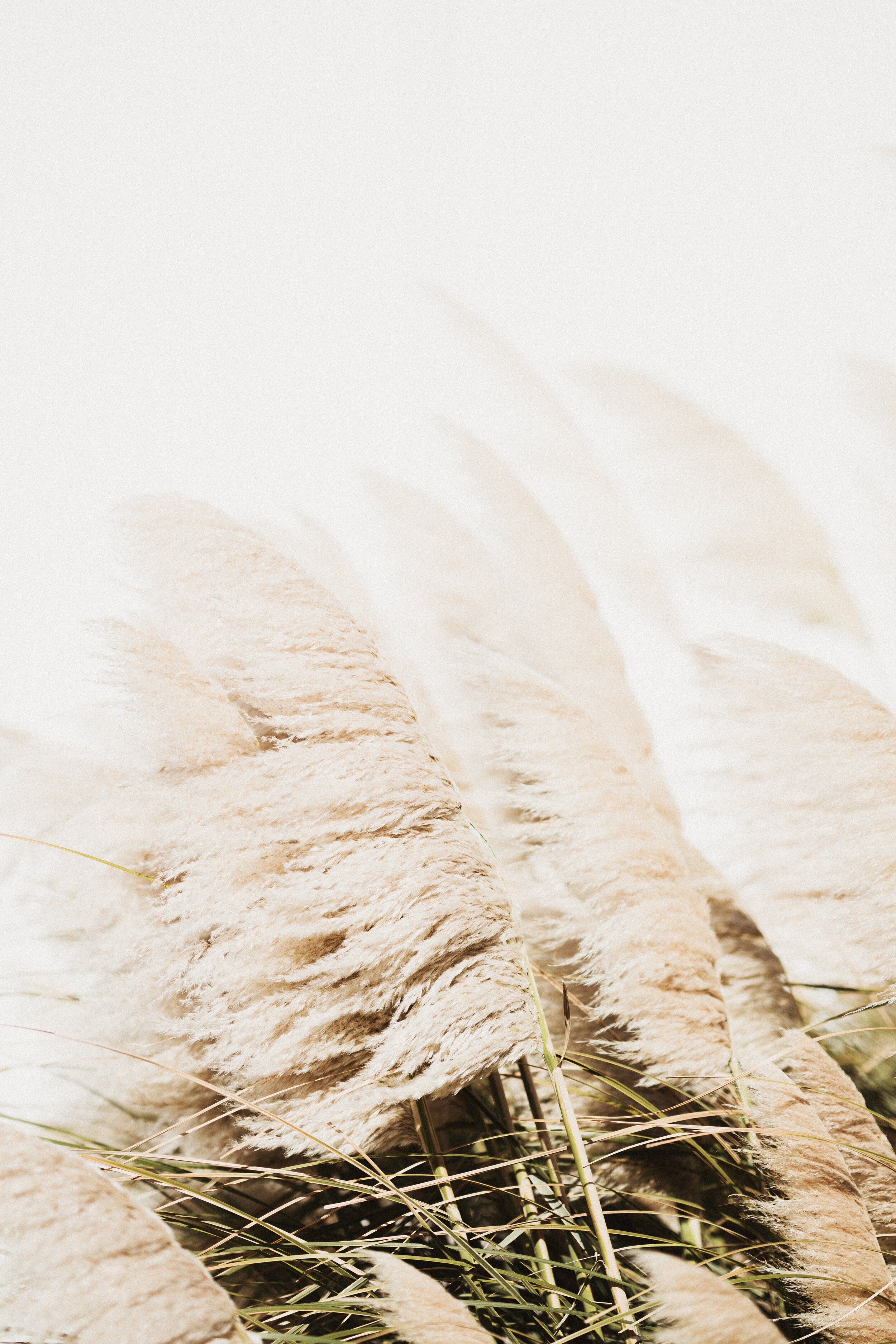 annie-spratt-dWq9KB085dA-unsplash.jpeg